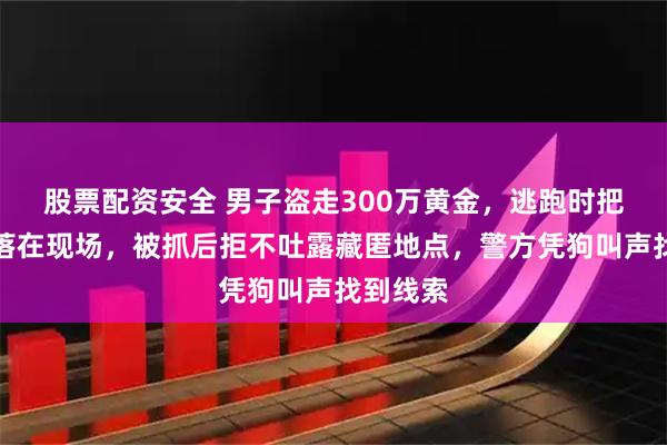 股票配资安全 男子盗走300万黄金，逃跑时把手机遗落在现场，被抓后拒不吐露藏匿地点，警方凭狗叫声找到线索